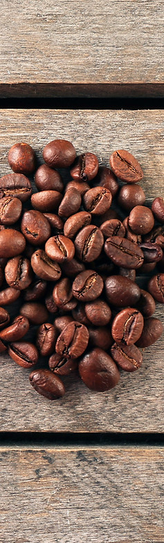 Coffee - Canopée Coffee Lounge